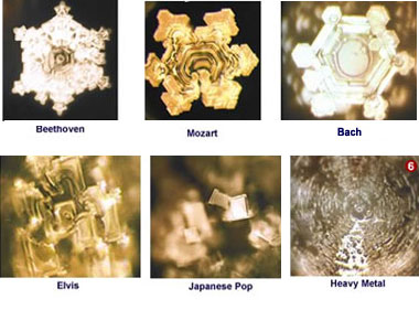 Masara-Emoto-2